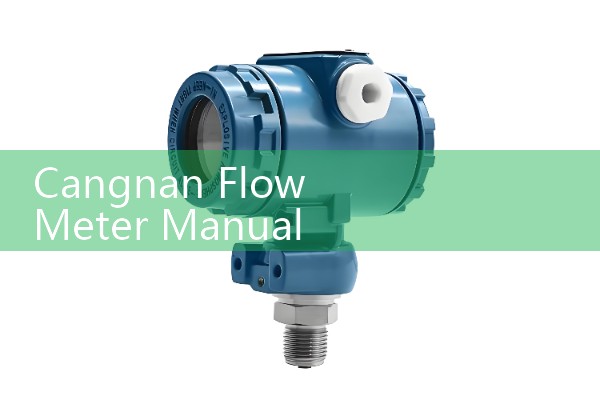 Cangnan flowmeter manual
